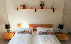 Apartmany Cechovni